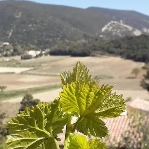 Eco Dans Les Vignes Rousset-les-Vignes